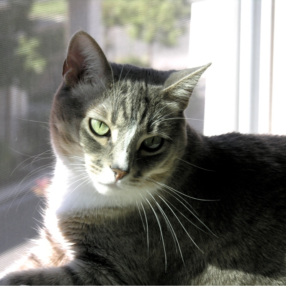 Cindyshouse 2nd Account